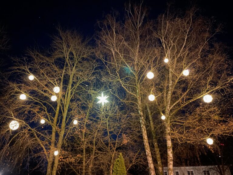 Frohe Weihnachten & ein gutes Neues Jahr 2026